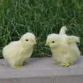 thumbnail image 4 of Mini figura de pollo de peluche, amarilla, juguete educativo para niños, jardín y Los 8x8x7cm, 4 of 8