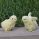 thumbnail image 4 of Mini figura de pollo de peluche, amarilla, juguete educativo para niños, jardín y Los 8x8x7cm, 4 of 8