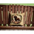 thumbnail image 2 of Boykin Spaniel and Flowers Throw Pillow, 2 of 7