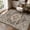 HT-Brown, variant on SIXHOME 8'x10' Area Rug Washable Retro Living Room Bedroom Carpet Soft Floral Distressed Indoor Rug Brown
