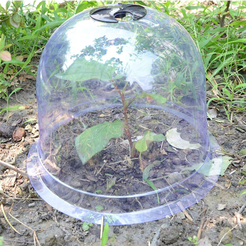 Reusable Plastic Greenhouse Garden Cloche Dome Plant Covers Frost Guard Freeze 