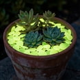 thumbnail image 6 of 50PCs Colorful Glow-in-the-Dark Garden Stones Night Guide Luminous Pebbles Rainbow Glow in the Dark Stepping Rocks Outdoor Landscaping Decor Glowing Stones Fish Tank DIY Aquarium Decorations, 6 of 6