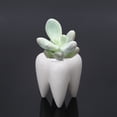 thumbnail image 4 of Sinyiin Tooth Shape Ceramic Flower Pot Green Succulent Planter Cactus Container Decor, 4 of 9
