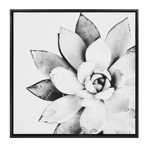 Kate and Laurel Sylvie Black and White Modern Succulent Print Framed Canvas Wall Art by Simon Te Tai, 30x30 Black