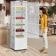 thumbnail image 7 of Soonbuy Commercial Cake Display Refrigerator, 10.9 Cu. White, 7 of 7