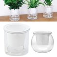 thumbnail image 4 of Pot de Fleurs Auto-Arrosant Mini Design Rond pour Plantes Succulentes d'Intérieur, 4 of 4