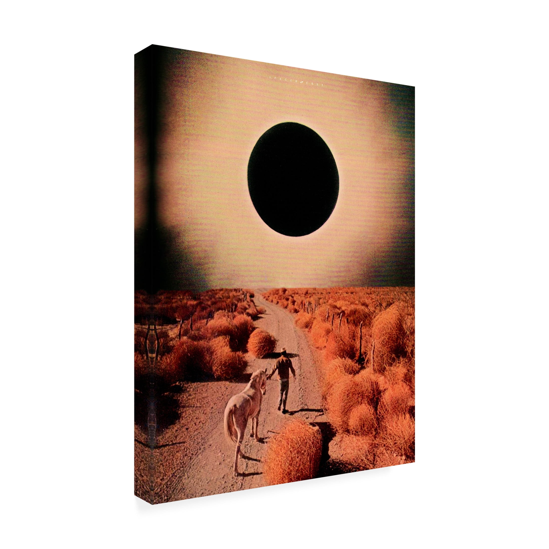 Trademark Fine Art spacerocket art  498 Canvas Wall Art