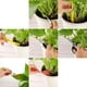 thumbnail image 4 of Conjunto de herramientas de plantación 13PCS Mini juego de herramientas de plantación de jardín para suculentas, deshierbe, excavación, plantación, trasplante, miniatura, jardín de hadas, cactus,, 4 of 5