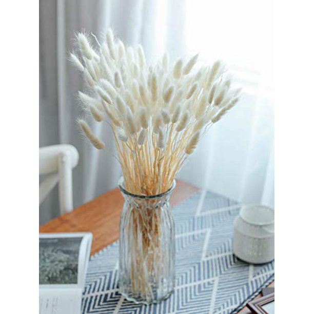 Birchio 100 Stems Natural Dried Bunny Tail Grass, Rabbit Tail Grass