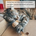 thumbnail image 4 of Catnip Infused Silvervine Stick, Natural Dental Care Toy For Kitten Teething, Stress Reduction And Digestive Support, 2PCS, 4 of 5