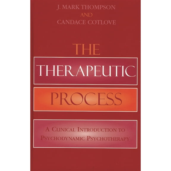 Therapeutic Process: A Clinical Introduction to Psychodynamic Psychotherapy, (Hardcover)