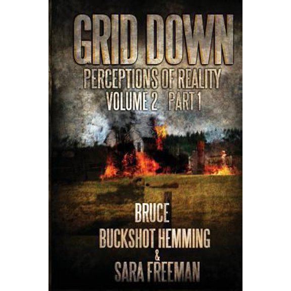 Pre-Owned Grid Down Perceptions Of Reality Vol 2 Book 1: Vol 2 Book 1 (Paperback) 1481856685 9781481856683