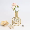 thumbnail image 4 of Estación de propagación de vidrio con marco de metal, florero dorado, florero de tubo de ensayo para plantas hidropónicas, florero pequeño para decoración de mesa de oficina, cocina, hogar, oro, 4 of 5