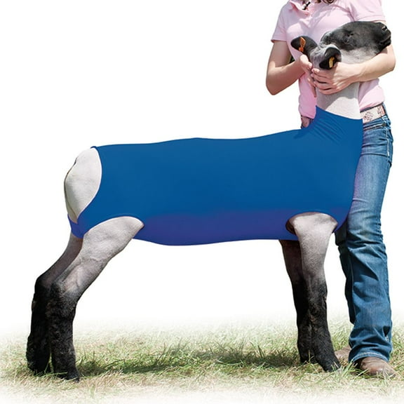 Weaver Leather Cotton Lamb Tube Blue Small