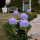 thumbnail image 4 of Luces solares para jardín al aire libre, luz solar decorativa para jardín, fiesta, pasarela, patio, boda, luz solar, 4 of 8