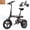 Black-red, variant on FLYRUN Electric Bike, 14" Folding E-Bike for Adults, 500W Peak Motor, 36V 280.8Wh Battery, 20MPH,Mini Ebike, LCD Display, UL2849