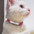 thumbnail image 5 of Chat Jouets Forme de Souris Boules Chat Chat Chat Chat Tunnel Drôle Chat Tente Souris Fournitures Simulation Poisson Chat Accessoires, 5 of 5