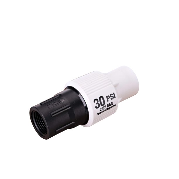 Regulador de presión Raindrip 45200UB 3/4 pulgadas FPT 30 PSI