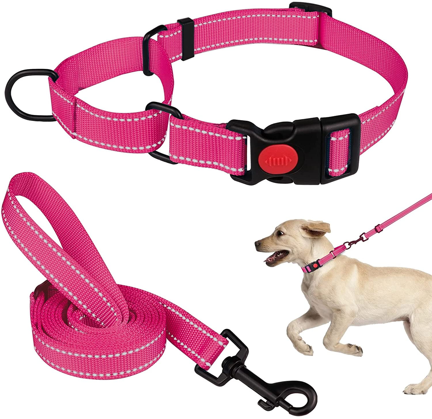 Are Martingale Collars Good For Dogs
