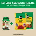 thumbnail image 6 of Miracle-Gro Shake 'N Feed Tomato, Fruit and Vegetable Plant Food, 1 lb., 6 of 12