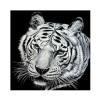 thumbnail image 1 of Wdftyju Kit de pintura de diamante 5D, tigre blanco, taladro redondo completo, diamantes de imitación, juego de arte de pared DIY Wdftyju 6xu8qk6dc9xa4pt2, 1 of 9