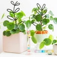 thumbnail image 3 of Huarong  Plants Vine Climbing Frame Strong Load Bearing Plant Trellis for Garden Greenhouse Plants  Blue, 3 of 8
