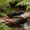 y06^J, 3.35in, variant on Bisitoy Topwater Mouse Fishing Lures, Lifelike Rat Lure for Topwater Fishing in Lakes and Rivers