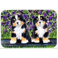 thumbnail image 1 of Carolines Treasures SS8334MP Bernese Mountain Dog Mouse Pad, 1 of 1