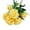 Yellow, variant on Gallickan Hydrangea Flowers, Artificial 10-Pack Fake Stems Bouquet Vase Wedding Home Table Decor Indoor Outdoor, White