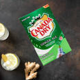 thumbnail image 3 of Canada Dry Original Ginger Ale Singles To Go Powdered Drink Mix Sugar-Free Caffeine-free Non-carbonated Water Enhancer Powder Sticks Beverage 6 Sachet Each, Pack of 2, 3 of 4
