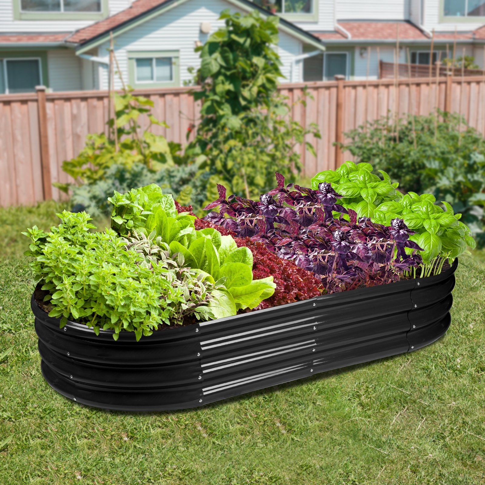 Asotewt Raised Garden Bed 5ft Oval Large Rot-Resistant Galvanized Metal Planter Box, 60"D x 29"W x11"H,Black