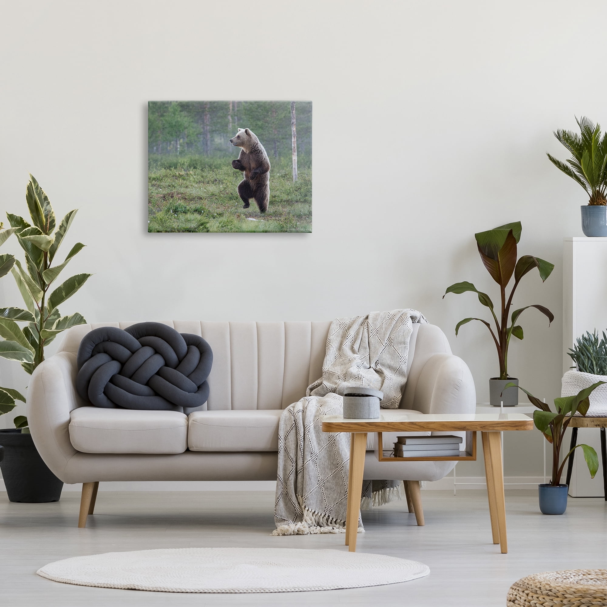 Stupell Industries Dancing Bear in Forest Animals & Insects Photography Gallery Wrapped Canvas Art Print Wall Art, 30 x 24