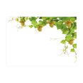 thumbnail image 1 of Ambesonne Vineyard Jigsaw Puzzle, Farmer Berry Wineyard, Heirloom-Quality Fun Activity for Family Durable Cardboard, 1000 pcs, Green Yellow, 1 of 2