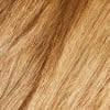 384 Light Golden Blonde