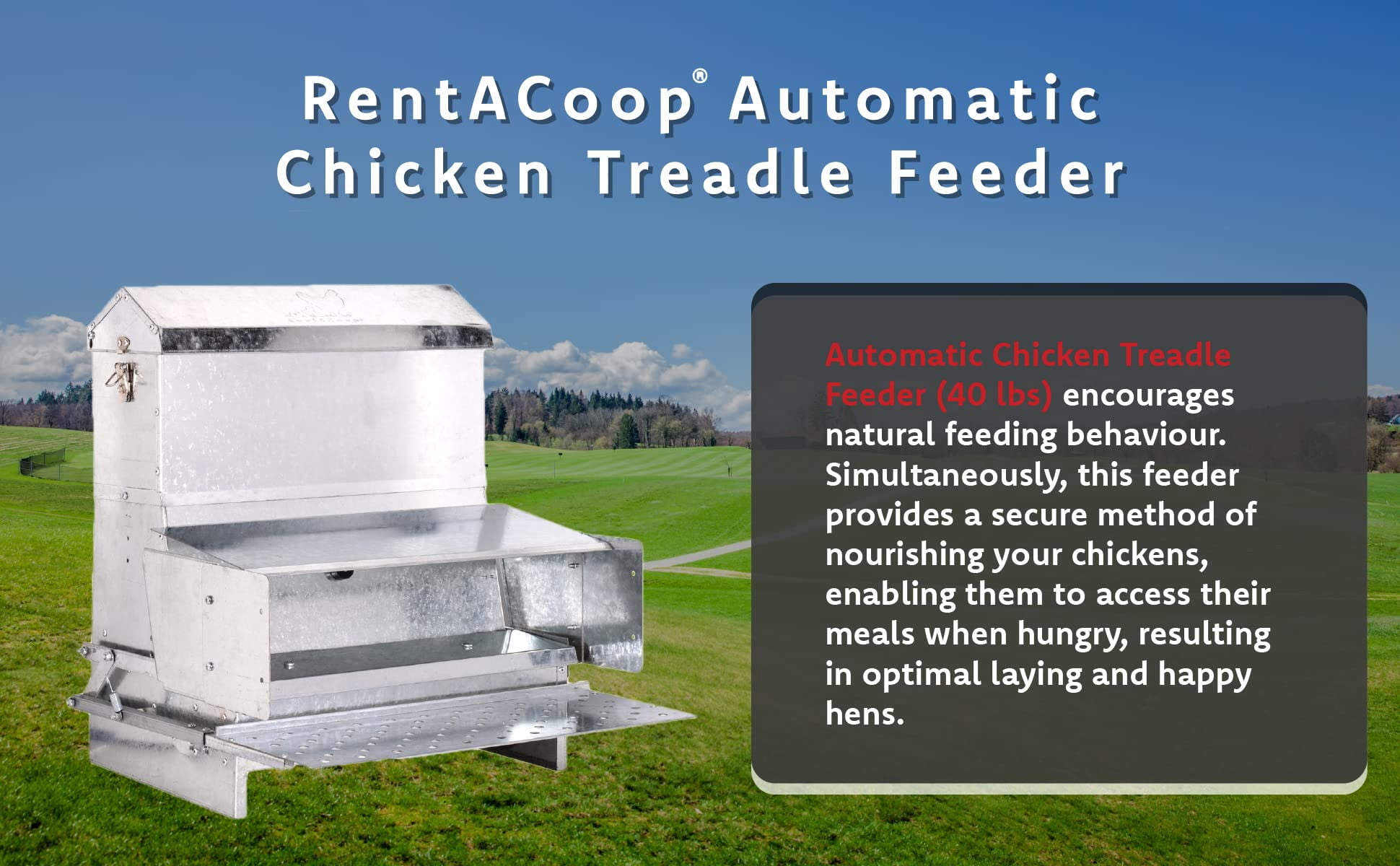 RentACoop Automatic Metal Treadle Feeder for Chicken, Bantams, Poultry, Pheasants, Ducks, and Fowl