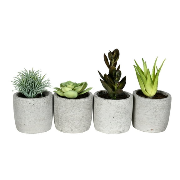 Vickerman 6" Artificial Assorted Potted Succulents, Set of 4.