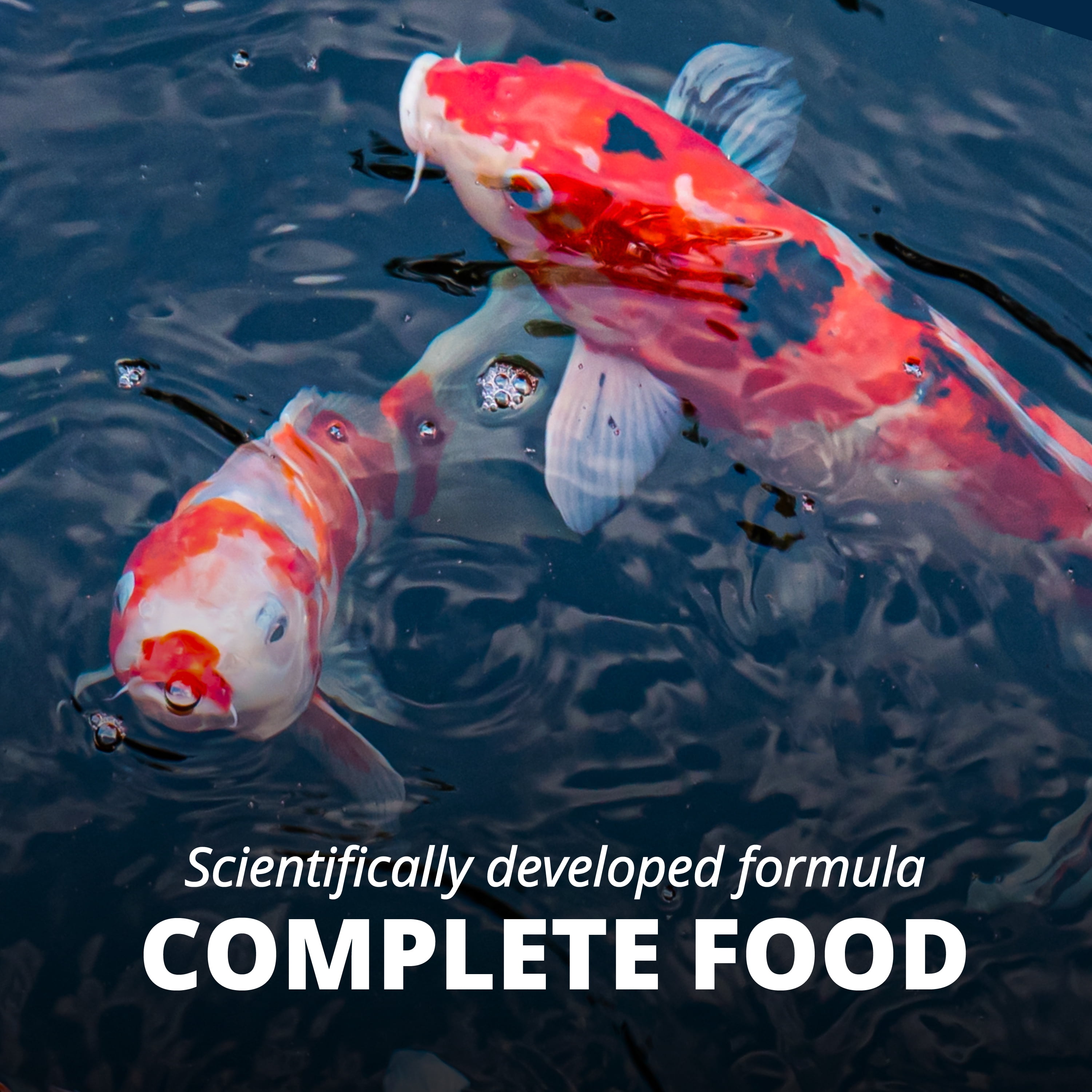Pond fish food walmart cheap