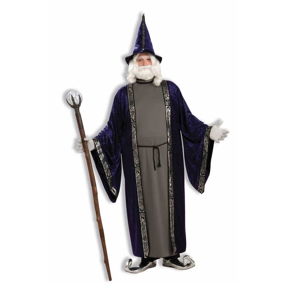 Plus SizePlus Size Wizard Costume