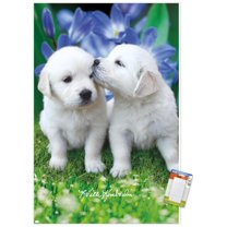 Keith Kimberlin - White Golden Retriever Puppies Wall Poster, 14.725" x 22.375"