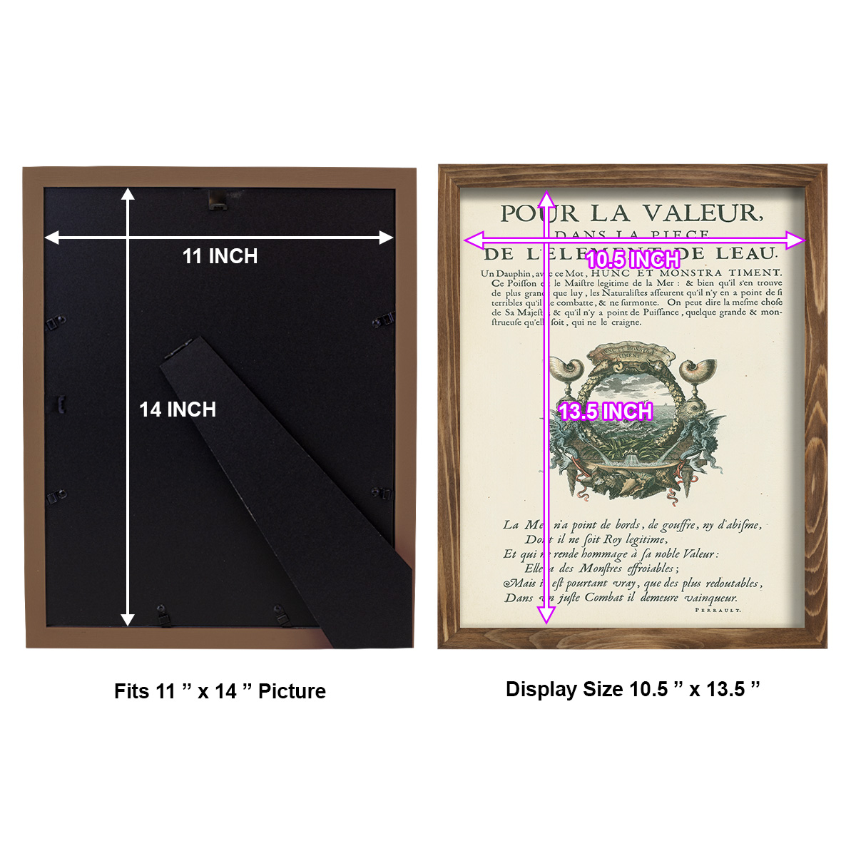 Printed Embellished Bookplate VII - Framed Print w/glass - Walnut