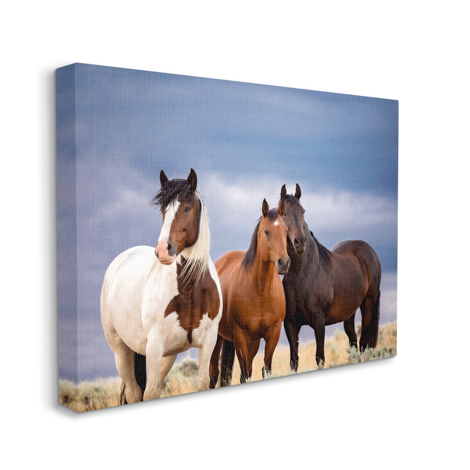 Stupell Industries Horse Trio Under Clouds Animals & Insects Photography Gallery Wrapped Canvas Art Print Wall Art, 40 x 30