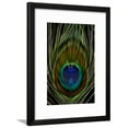 thumbnail image 1 of Peacock tail feather eye of Blue, Framed Art Print Wall Art by Darrell Gulin Sold by Art.Com, 1 of 5