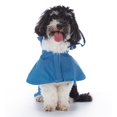 thumbnail image 2 of Hooded Pet Raincoat Reflective Cute Shark Reflective for Small Medium and Large Dogs and Cats XS-4XL, 2 of 12