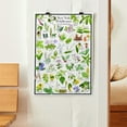 thumbnail image 3 of New York Wildflowers Poster - Native Woodland Blooms - Educational Science Chart of New York Flowers, 3 of 5