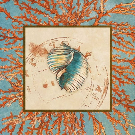 24 Coral Shell - Coral Medley Shell I Stretched Canvas - Lanie Loreth (24 x 24)
