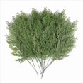 thumbnail image 2 of 80 Piezas de Ramitas de Cedro Artificiales, Ramas en Aerosol de Cedro SintéTico, Tallos de CipréS de Cedro, PúAs de Pino, VegetacióN de PláStico, Bricolaje NavideñO, 2 of 5
