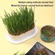 thumbnail image 2 of Bandeja para macetas hidropónicas con hierba para gatos, caja de plástico para hierba gatera para gatos, caja para cultivar hierba para gatos sin tierra, bandeja para bocadillos para gatos, 2 of 5