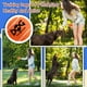 thumbnail image 3 of Pelotas de tenis Squeaky para perros, tamaño grande, 4 unidades, 3 of 4