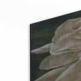 thumbnail image 2 of Luxe Metal Art 'Redolent' by Barbara Keith, Metal Wall Art, 24"x36", 2 of 9