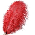 thumbnail image 5 of Red Ostrich Feather,Bexikou 20 Pcs 8-10 inch(20-25 cm) Ostrich Feathers for Crafts Floral Arrangement,Wedding Party Centerpieces Home Decorations, 5 of 7